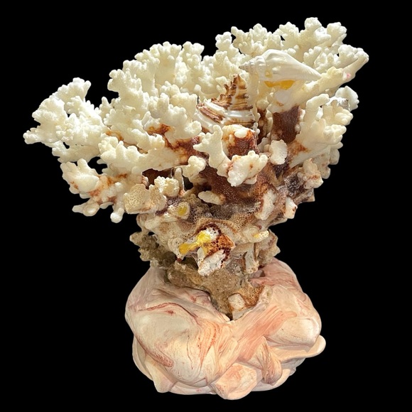 Vintage 1950s Natural Dried Coral Specimen Large Sculpture with Ceramic Base - Picture 3 of 12